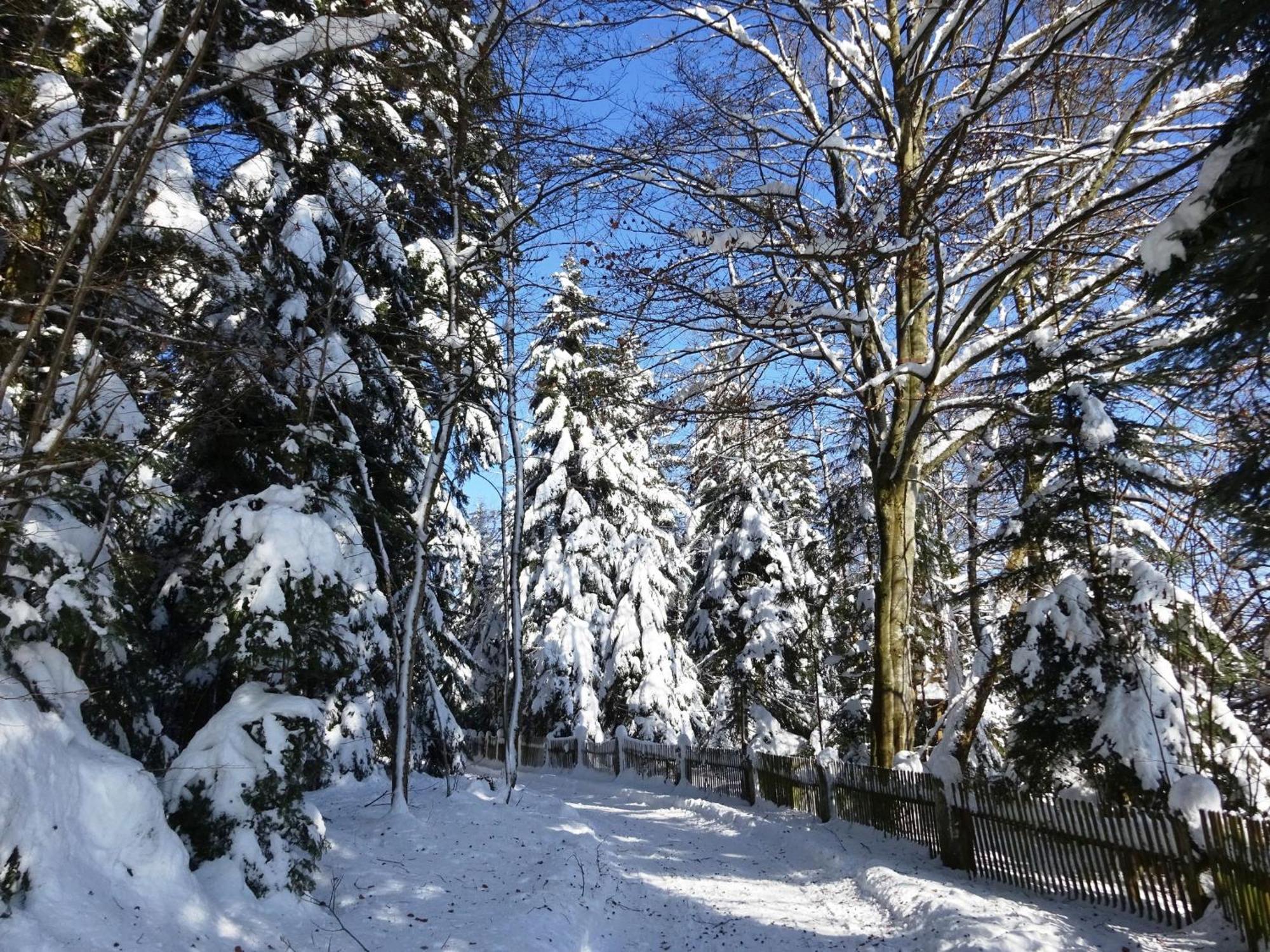 Holiday Home In Lossburg Near The Ski Area Esterno foto