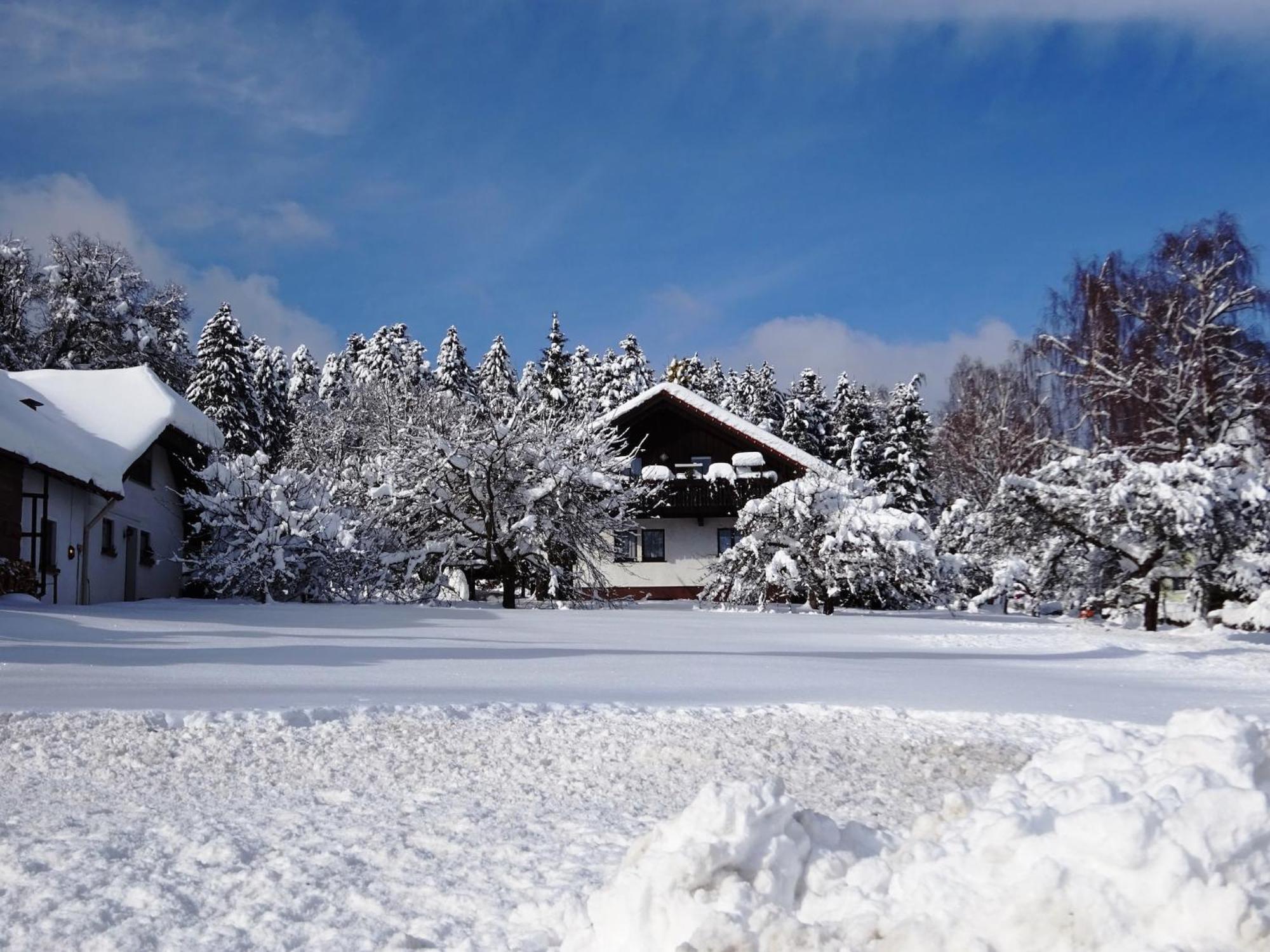 Holiday Home In Lossburg Near The Ski Area Esterno foto